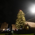 Natale, accensione albero e luci