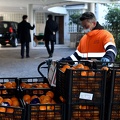 Coronavirus: Car dona 300 chili di frutta e verdura a parrocchia
 