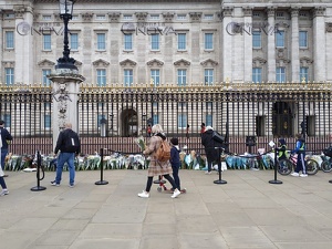 Fiori per il principe Filippo a Buckingham Palace