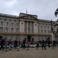Fiori per il principe Filippo a Buckingham Palace 
