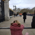Fiori per il principe Filippo a Buckingham Palace 4.jpg