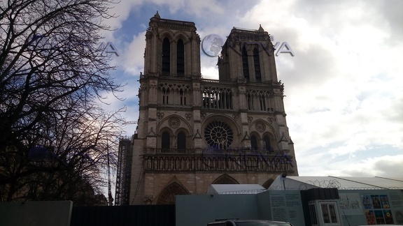 La cattedrale di Notre Dame
