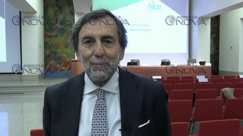Riccardo Garosci, Presidente di Aice