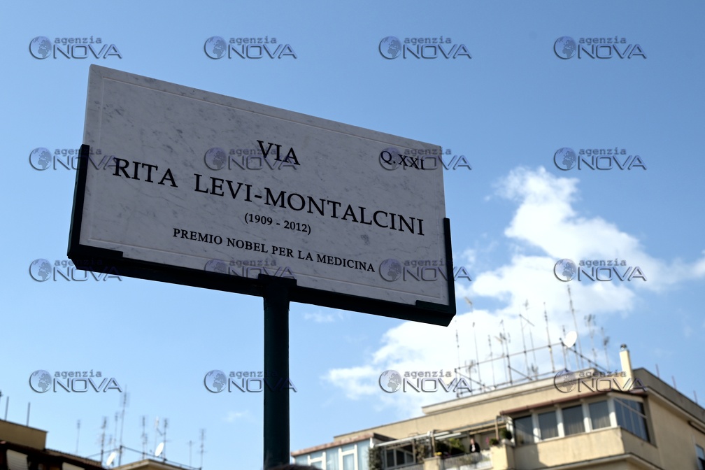 Roma, scoperta targa Via Rita Levi Montalcini